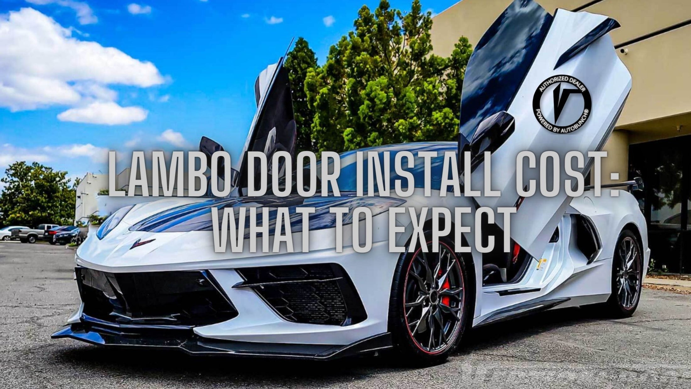 Lambo Doors Installation Cost: Quality & Costs Revealed