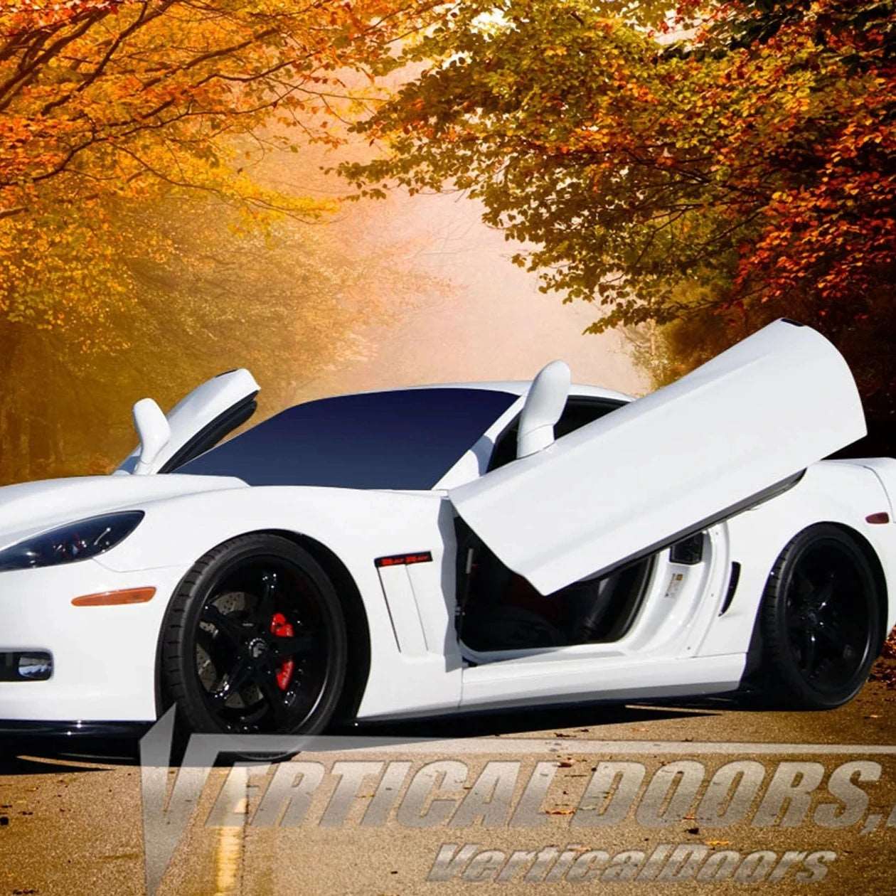 Chevrolet Corvette C6 ZLR Doors Kit compatible 2005-2013